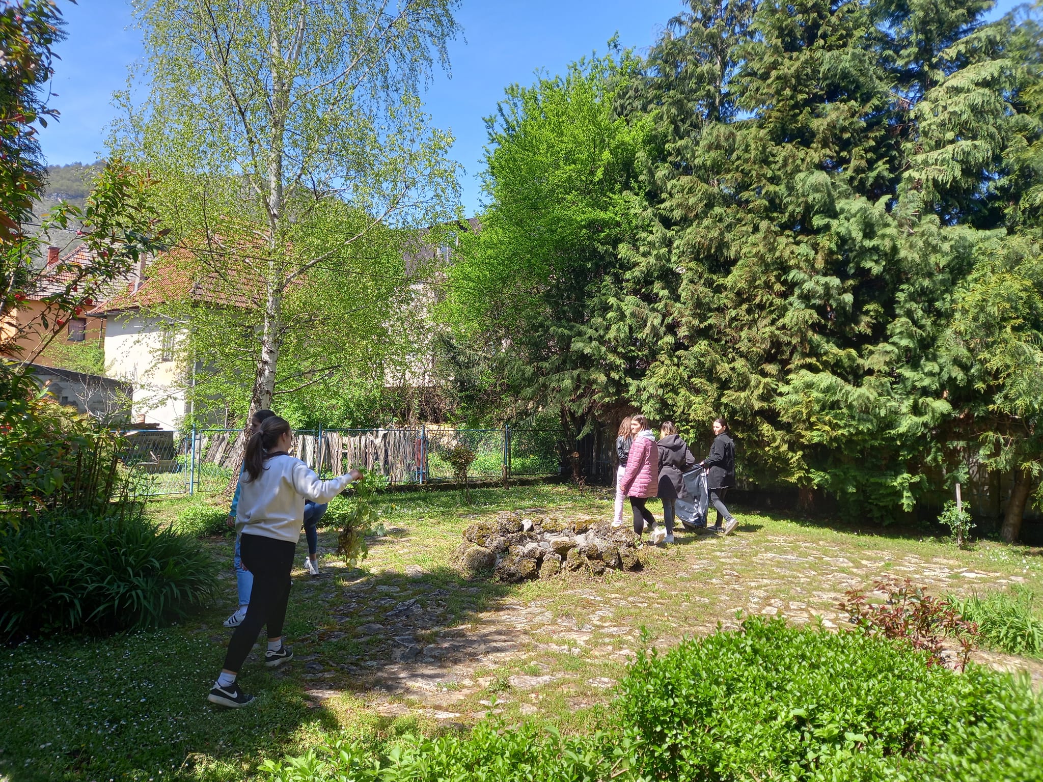 Image Alt